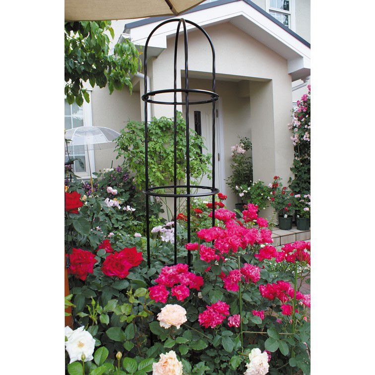 Khung trồng hoa hồng cao 120cm màu đen đường kính chậu 21cm bền trên 5 năm ở nhiệt độ ngoài trời