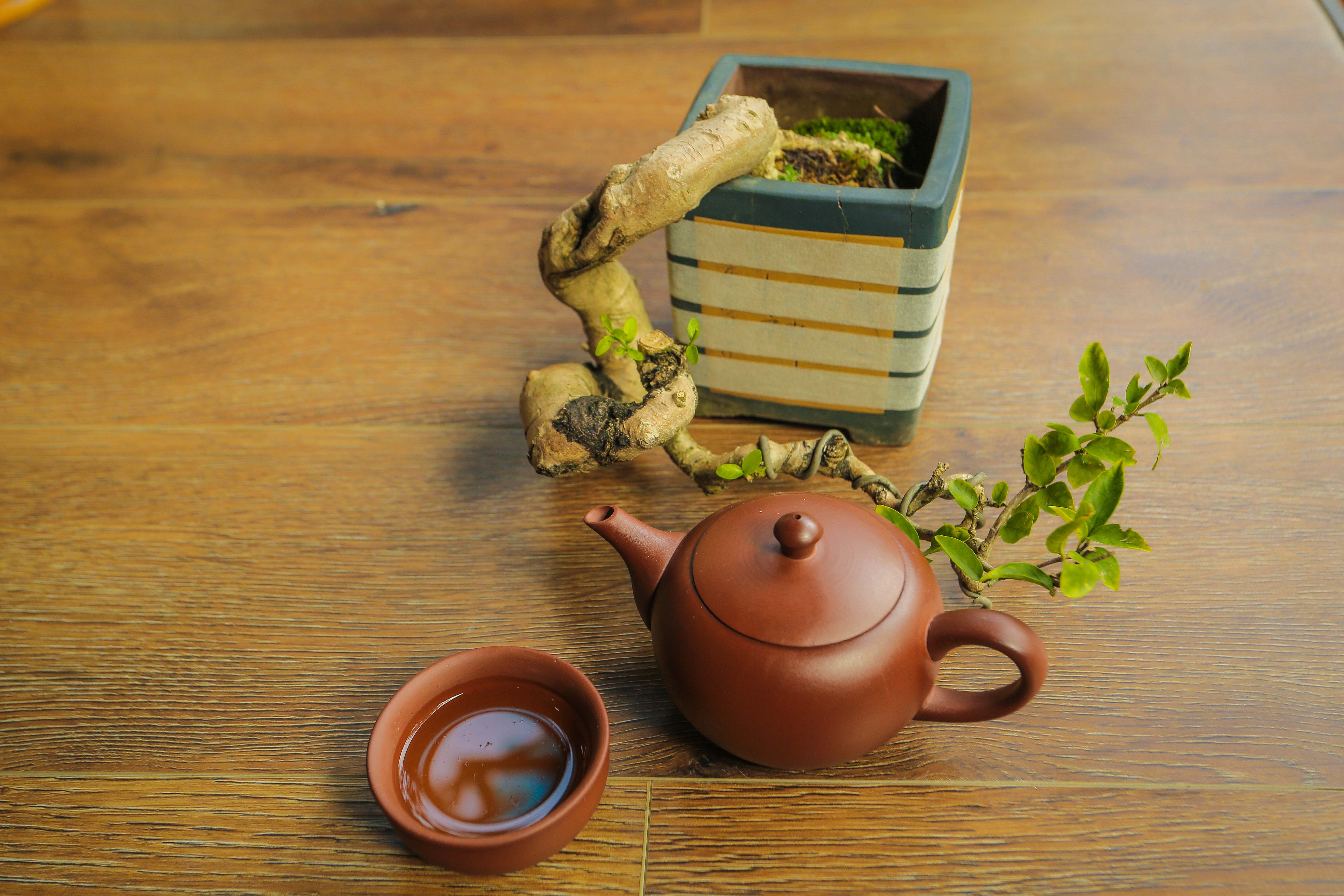 Bộ ấm gốm sứ - Bộ trà đất nung - Bộ ấm trà An Thổ Túc - Bộ ấm trà Trăng tròn