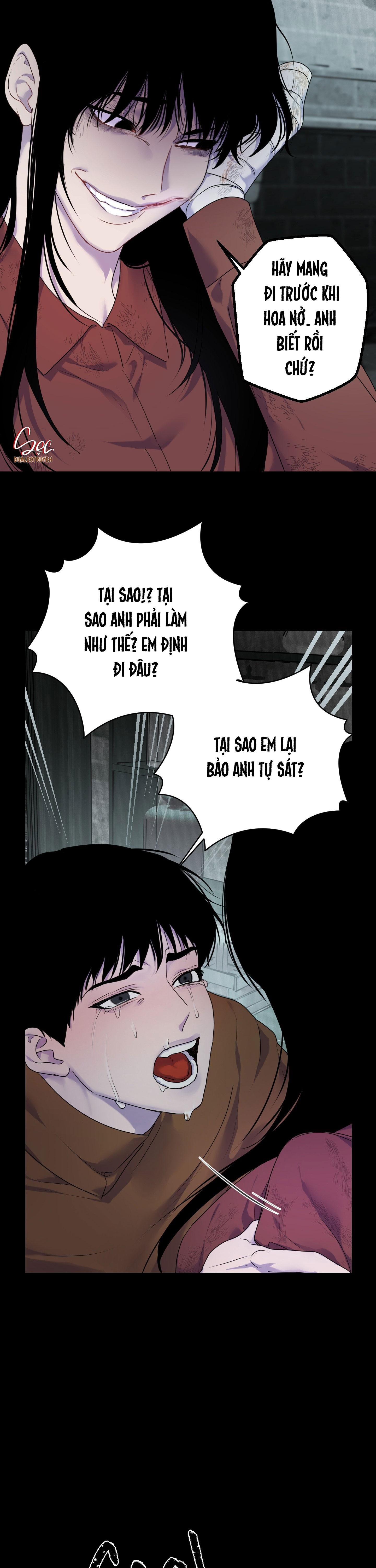 đóa hoa của alosha chapter 24 18