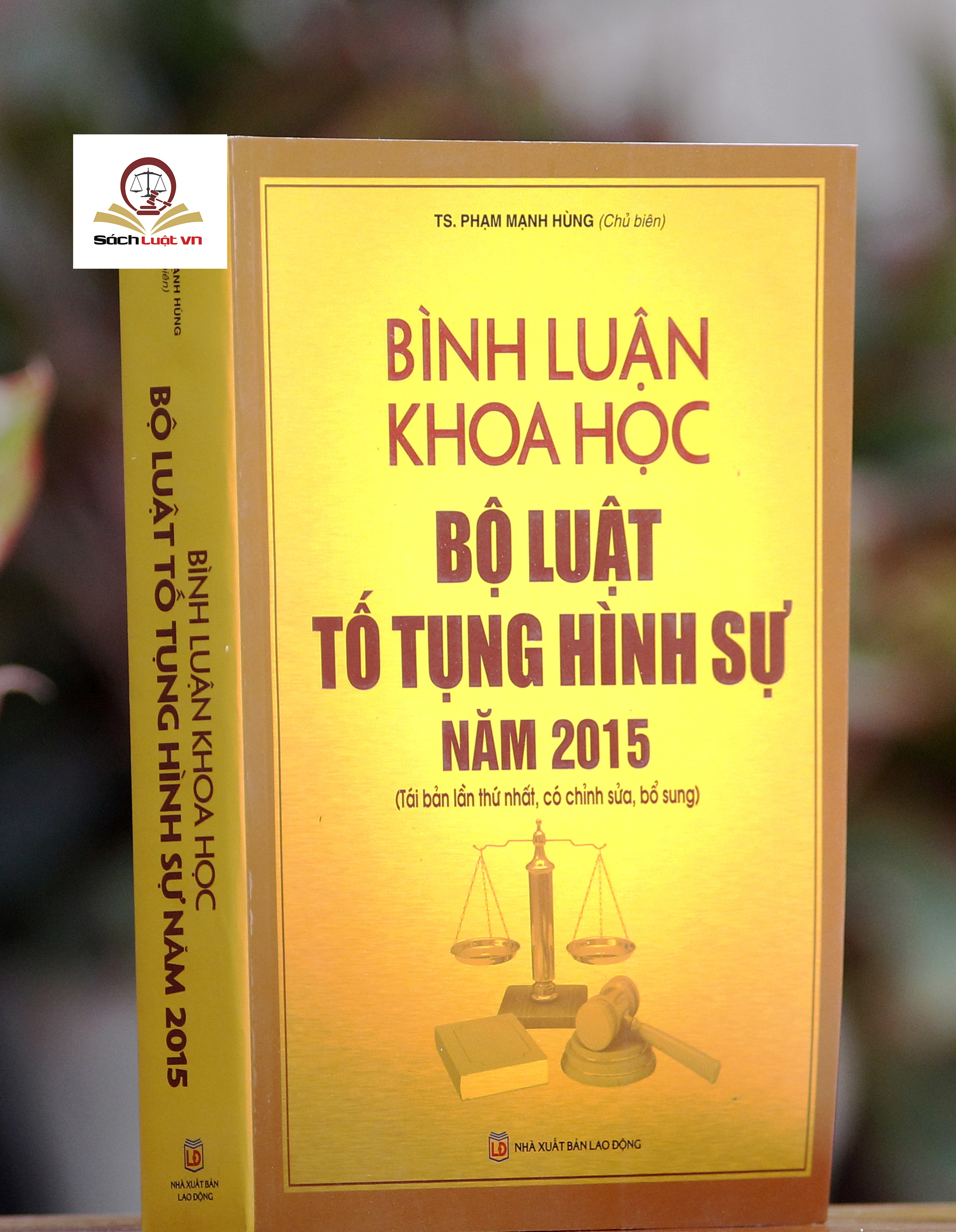 Bình luận Khoa học Bộ luật tố tụng hình sự 2015 (tái bản lần thứ nhất, có chỉnh sửa bổ sung)