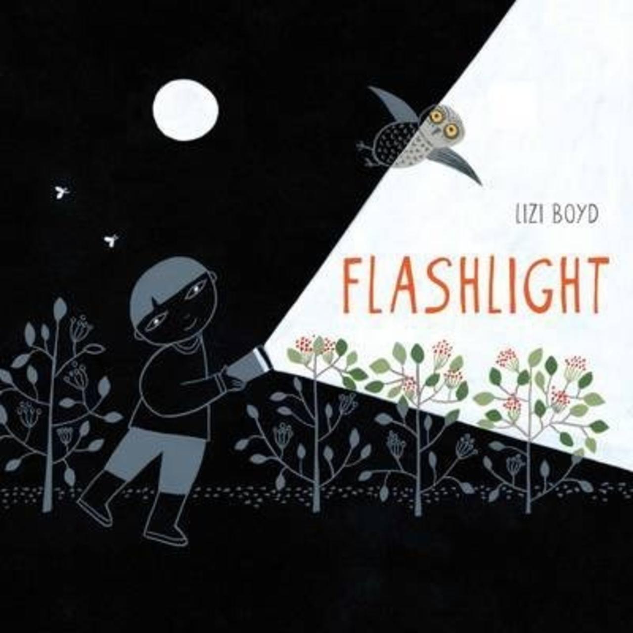 Sách - Flashlight by Lizi Boyd