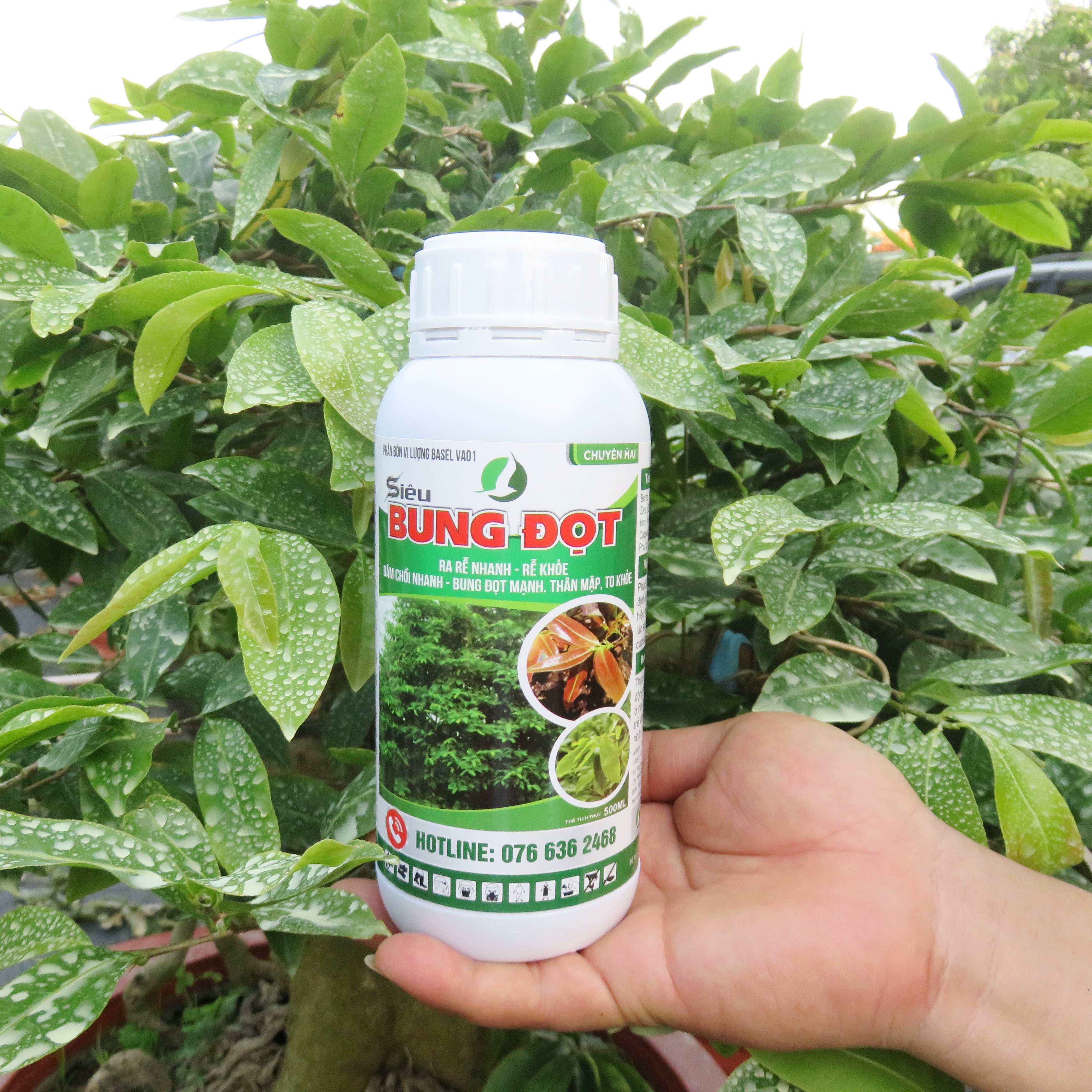 PHÂN BÓN BUNG ĐỌT, MƯỚT LÁ, MẬP ĐỌT CHUYÊN DÙNG CHO CÂY KIỂNG/MAI VÀNG - SIÊU BUNG ĐỌT CHAI 500ML/CHAI 1L VÀ CAN 5L