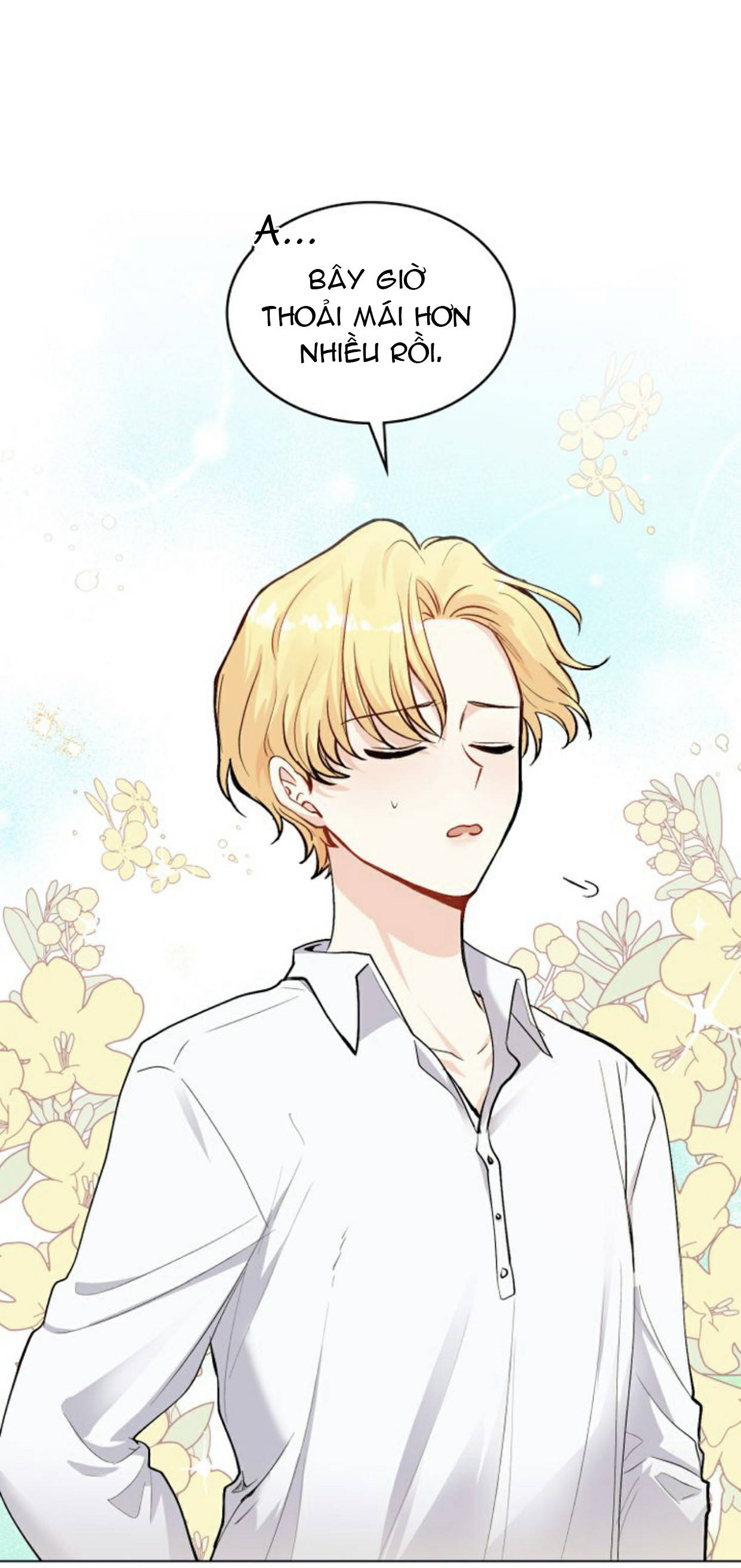 tìm lại nàng camellia chapter 14 8