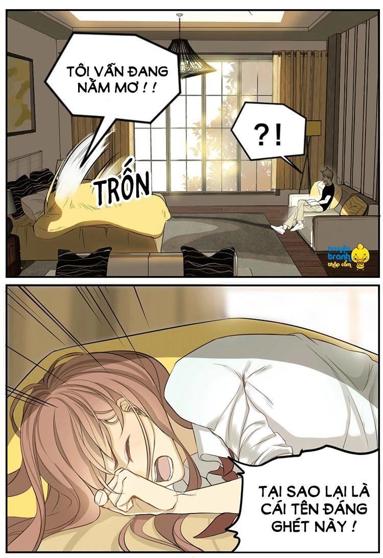 cứu mạng ! loài mèo thống trị thế giới rồi ! chapter 3 20