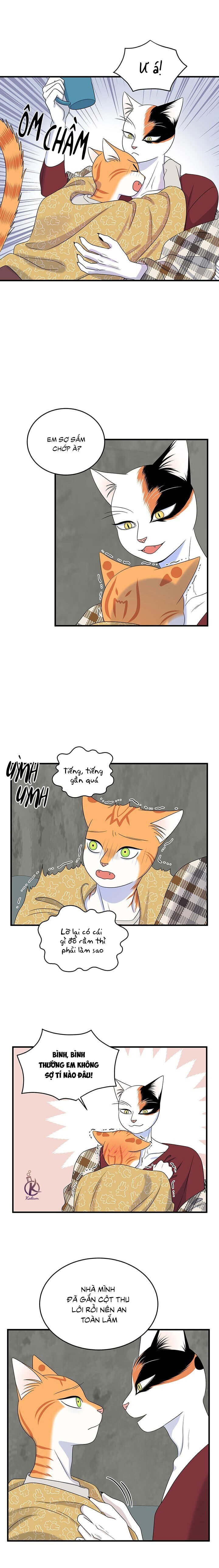 dự án xanh chapter 47 3