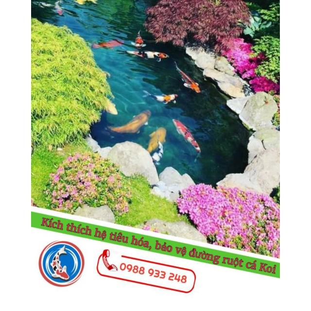 Cám cá KOI- CÁ VÀNG đạm 40% cỡ viên 1, 2 mm| Túi 1kg