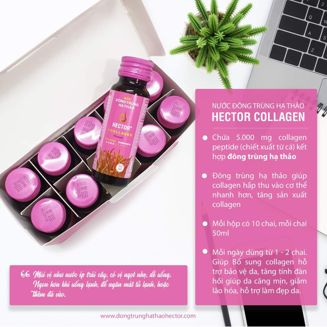 Combo 6 Hộp (60 Chai) Nước Đông Trùng Hạ Thảo Hector Collagen (Tiết kiệm 180k)