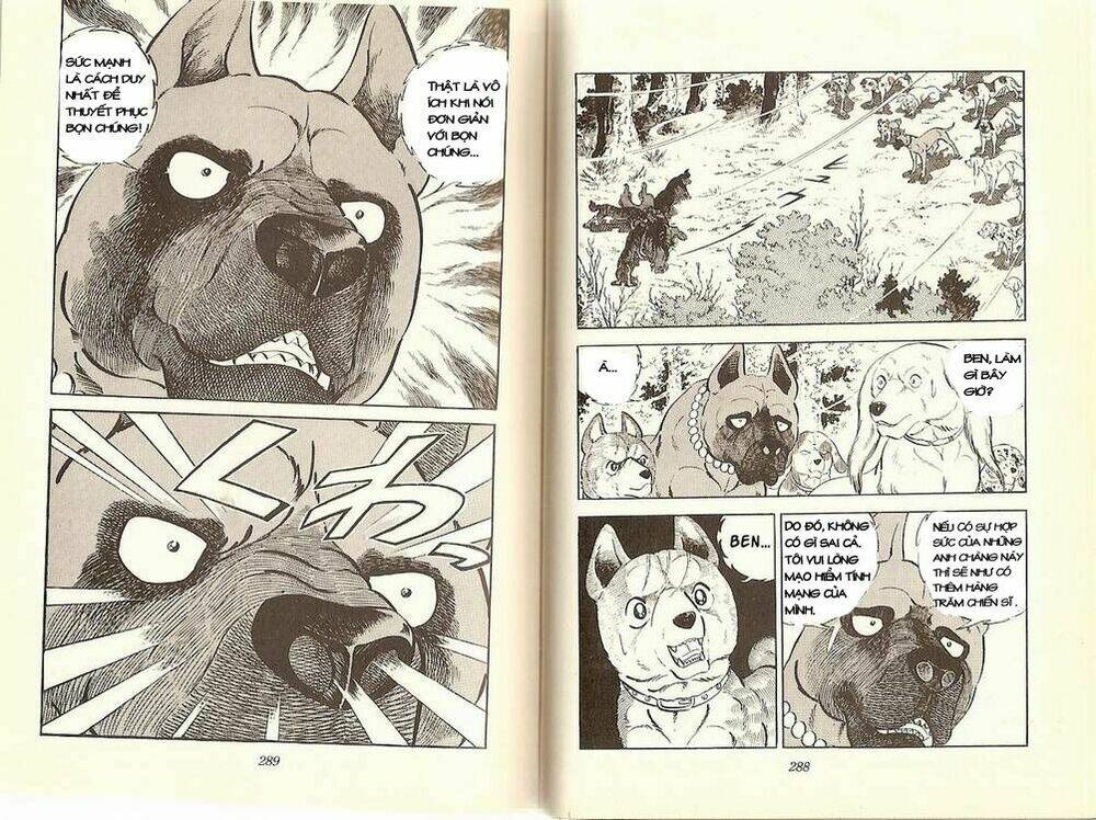 chú chó có nghĩa - ginga nagareboshi gin chapter 12 11