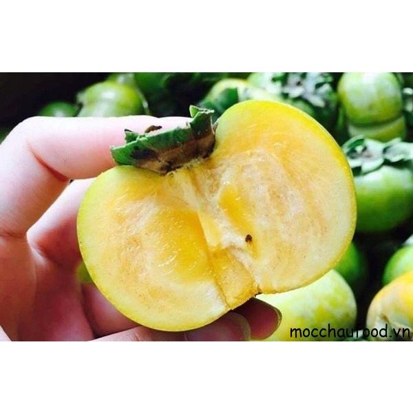 CÂY GIỐNG HỒNG GIÒN MỘC CHÂU ĂN CỰC NGON