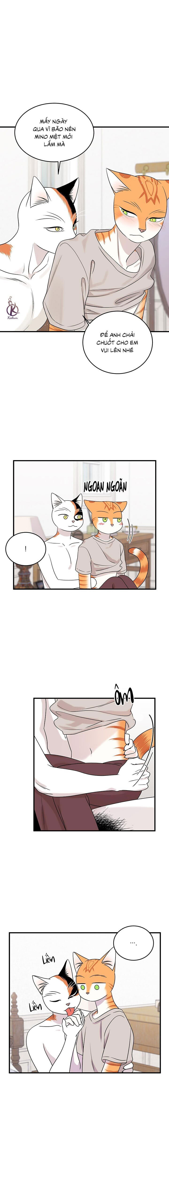 dự án xanh chapter 48 1