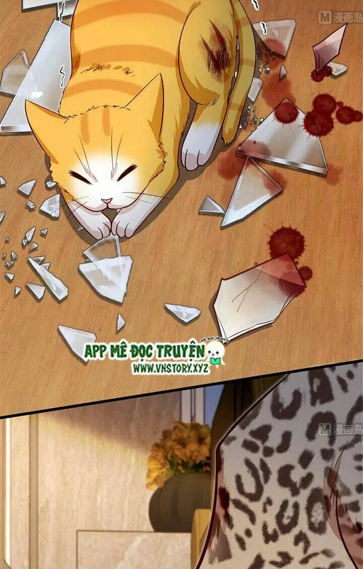 thiên hậu trở về chapter 186 25