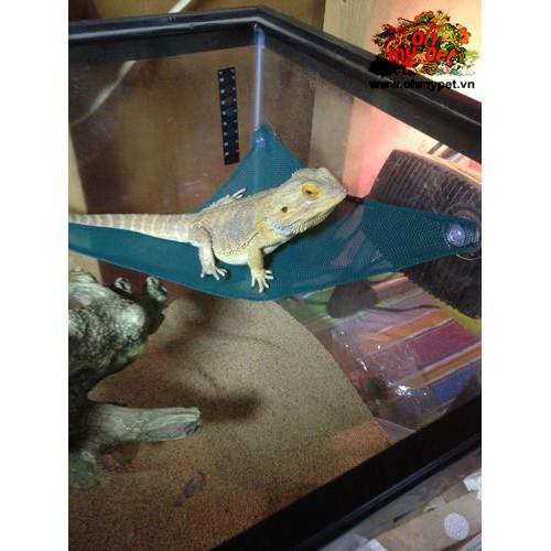 Lưới nằm cho bò sát Repti Hammock Dùng để hít lên kính, tạo thêm không gian cho các loại bò sát