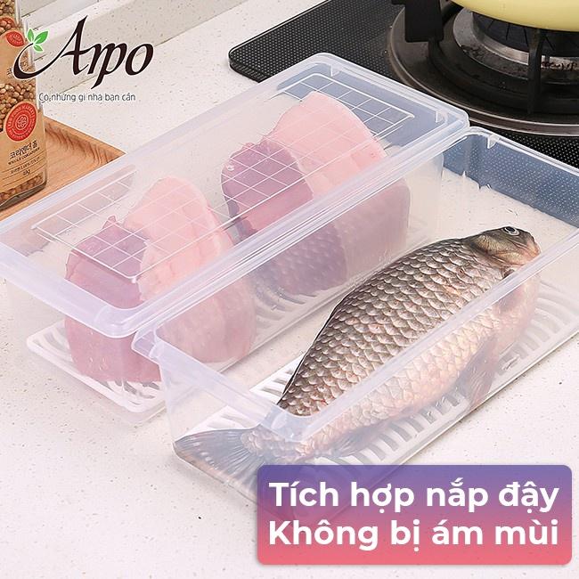 Hộp Nhựa Tủ Lạnh Bảo Quản Thực Phẩm Trong Suốt TÍch Hợp Khay Ráo Nước Giúp Thức Ăn Tươi Lâu - Hộp Tủ Lạnh Có Nắp