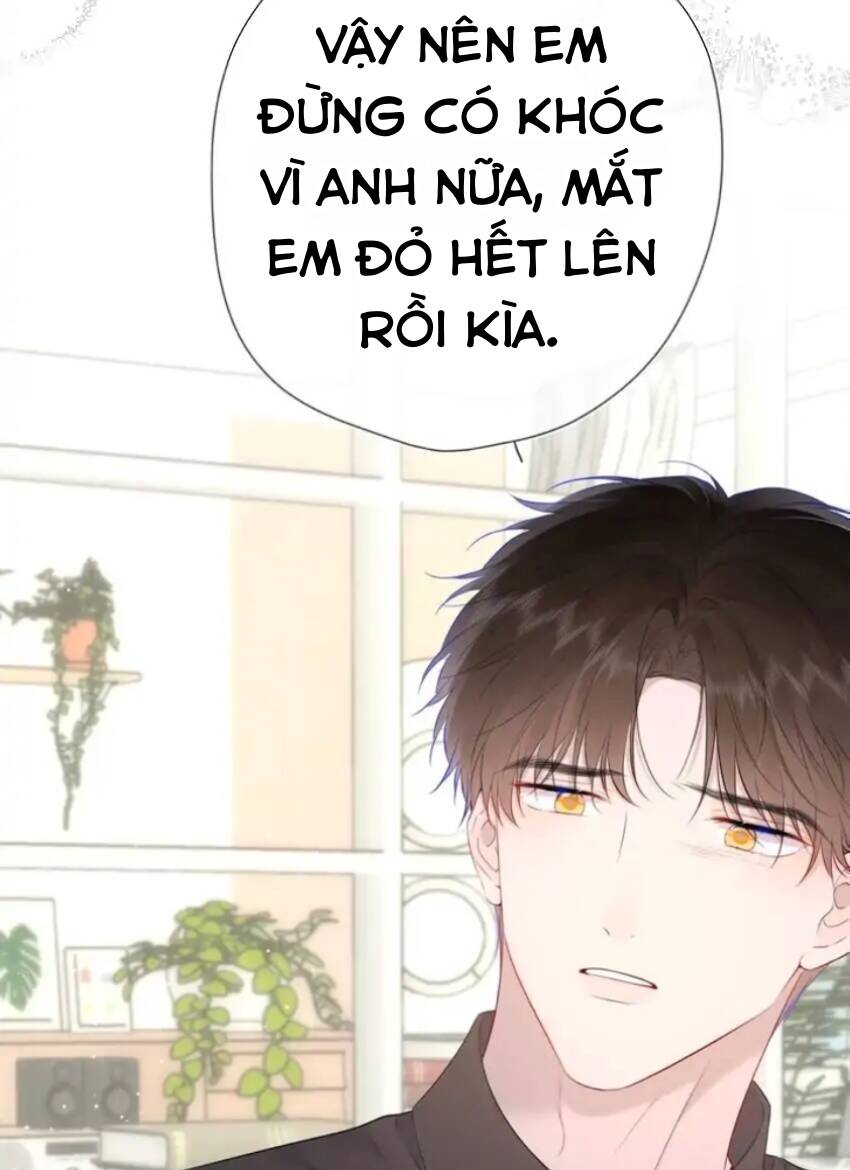 vì sao của tôi chapter 131 7