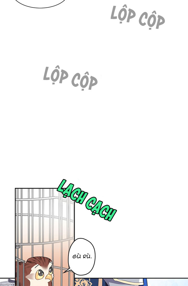 công chúa của loài chim chapter 8 60