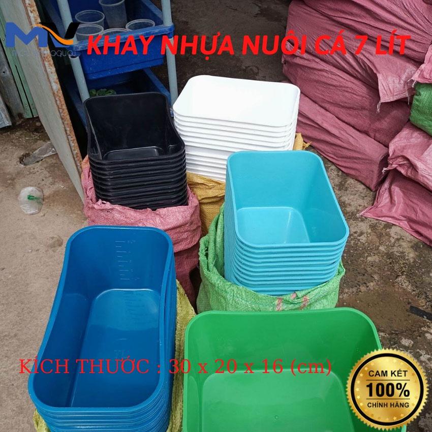 Khay nhựa nuôi cá Guppy kích thước 30x20x16 cm