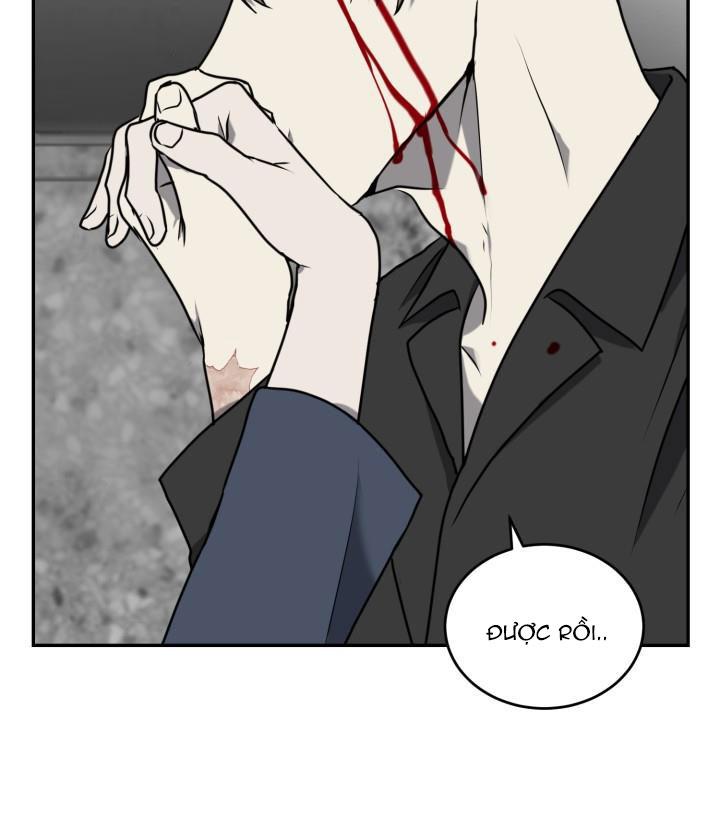 dưỡng thú cưng chapter 16 43