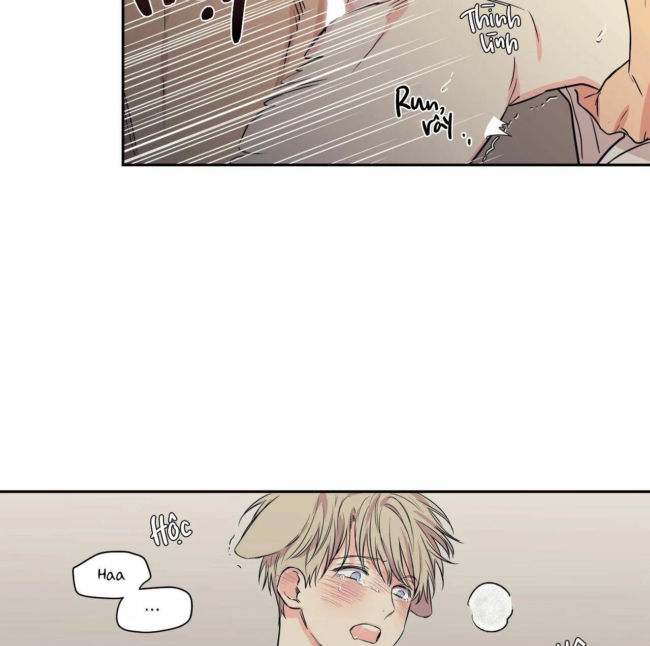 không chốn yêu đương chapter 64.5 50