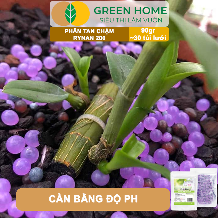 Phân Tan Chậm GreenHome, Rynan 200, Bao 90gr ~ 30 Túi Lưới 3gr, Dành Cho Giai Đoạn Phong Lan Cây Con