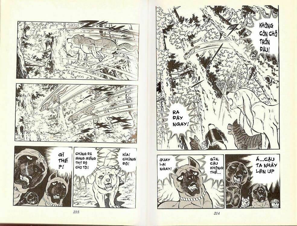 chú chó có nghĩa - ginga nagareboshi gin chapter 17 14