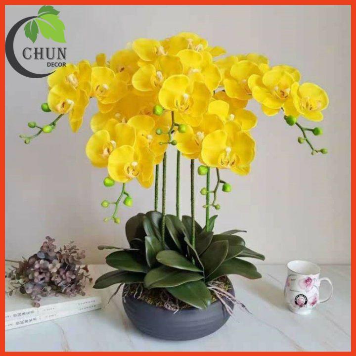 Chậu Lan Hồ Điệp Giả Cao 60cm Trang Trí Nhà Cửa, Cửa Hàng, Văn Phòng, Lớp Học CL5