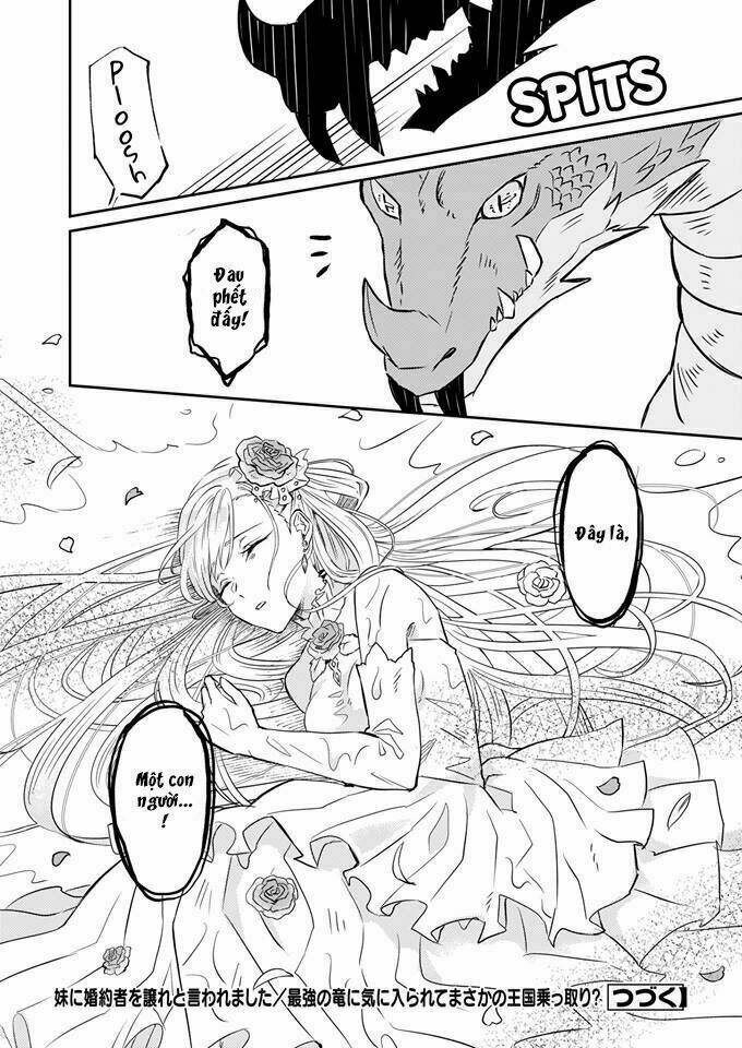 imouto ni fiancee wo yuzure to iwaremashita, saikyou no ryuu ni kiniirarete masakano okoku nottori? chapter 1 25