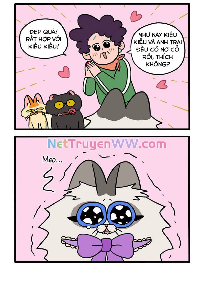 a mãn và mạch trà chapter 49.1 4