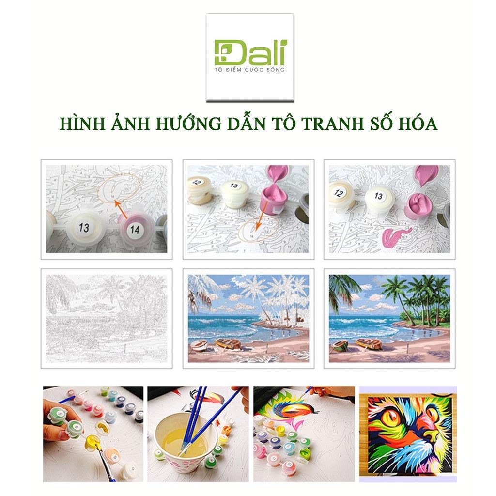 Tranh treo tường tự tô màu số hóa DALI Tranh Cô gái tóc hồng N069