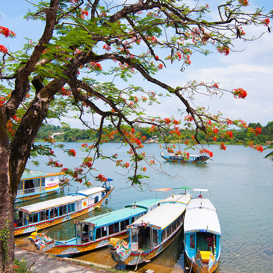 Hình ảnh Tour Đà Nẵng - Huế 01 Ngày, Khởi Hành Hàng Ngày, Đón Tại Khách Sạn Trung Tâm