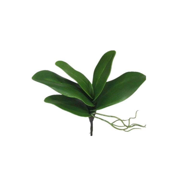 Cây Lan Giả Có Rễ, màu xanh hàng loại 1 trang trí, decor nhà, cắm để bàn, chụp ảnh.