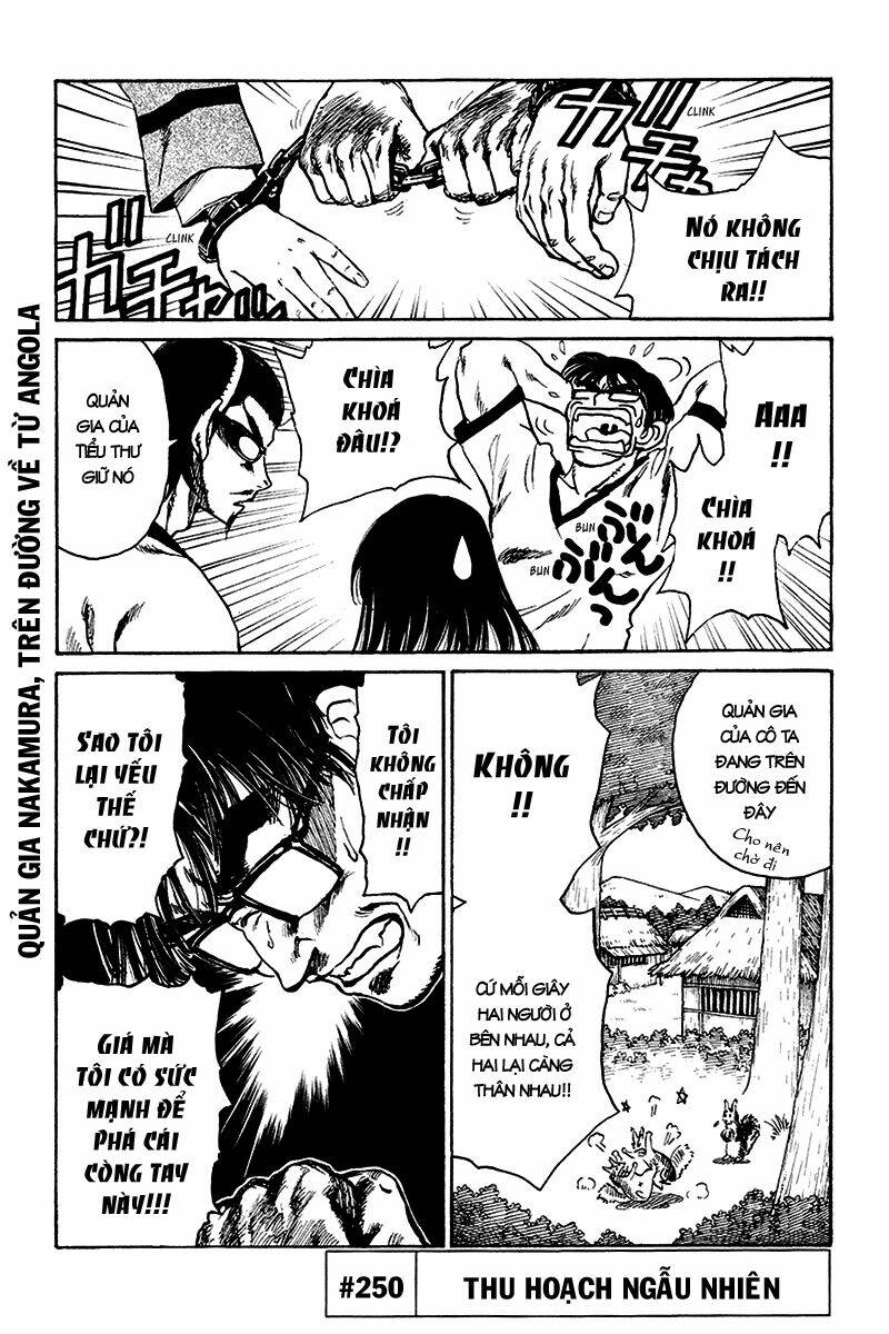 school rumble chapter 250 1
