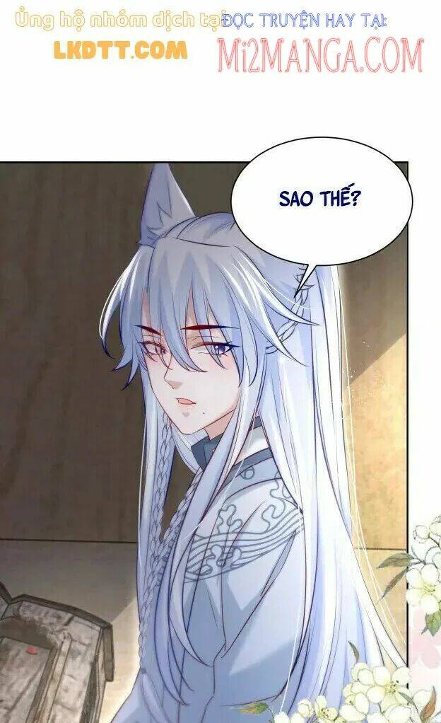 hắc hóa nam chính trực tuyến nuôi thỏ chapter 40 24