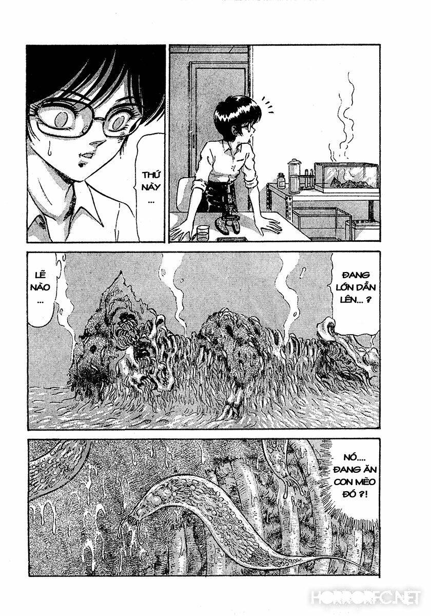 dangerous female teacher chapter 37 4