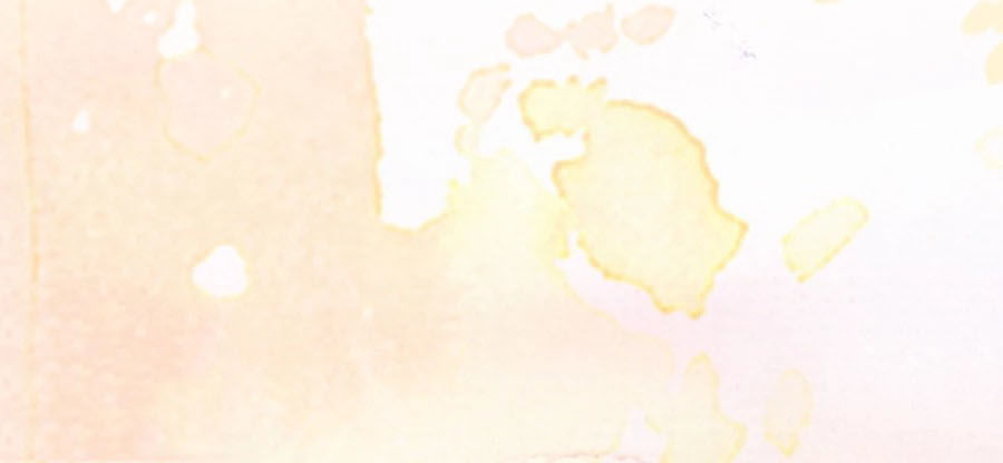 hoàn mỹ lão công tiến hóa luân chapter 93 12