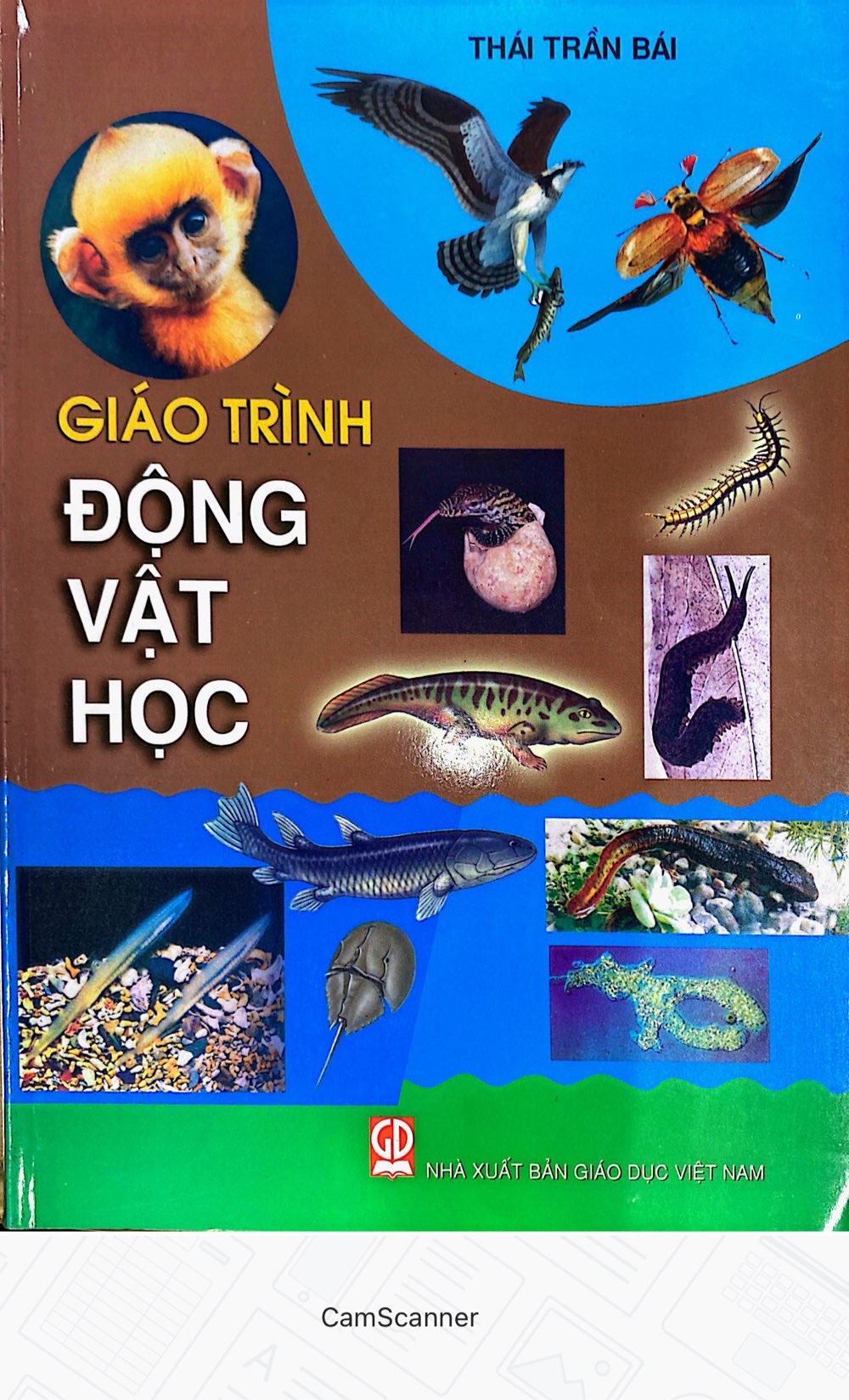 Giáo Trình Động Vật Học