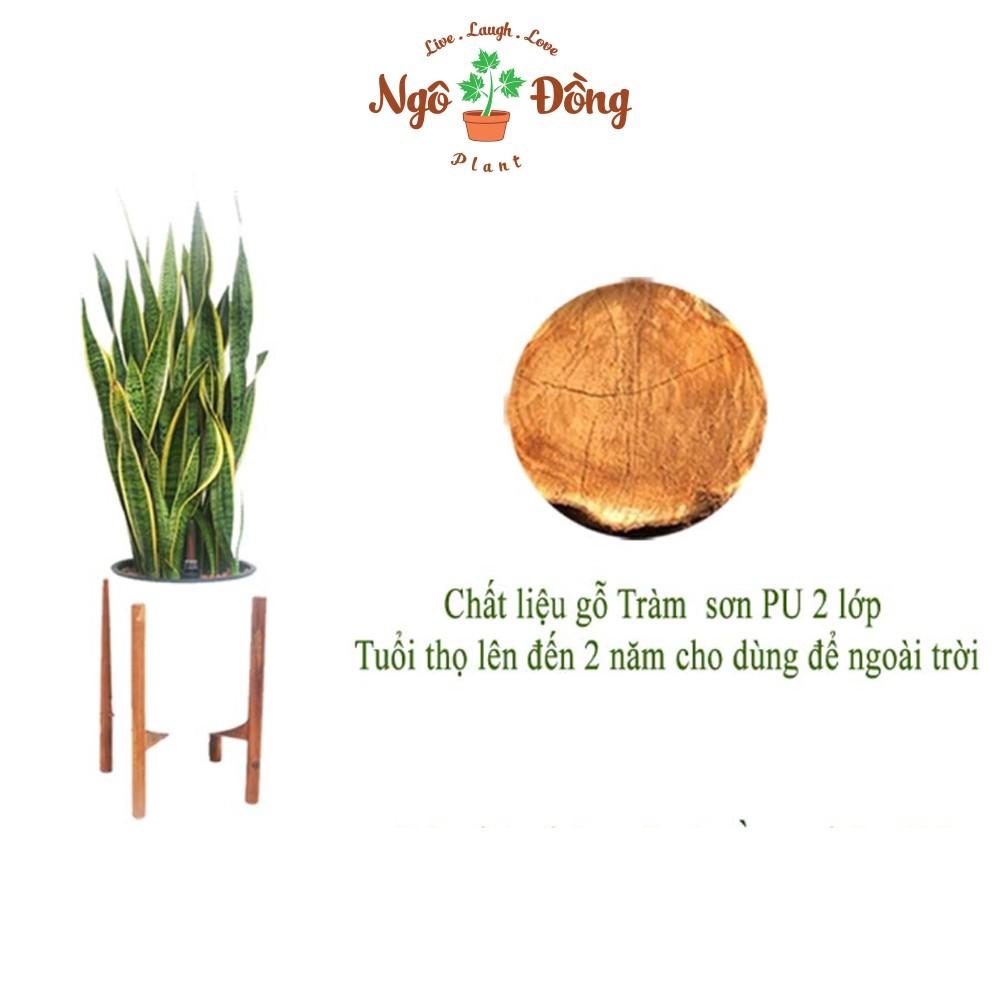 Combo 1 Đế Lót Chậu Cây Cảnh Tròn Chịu Lực Đến 80kg và 1 Đôn Kê Chậu Hoa 1 Tầng C30cm Chân Tròn