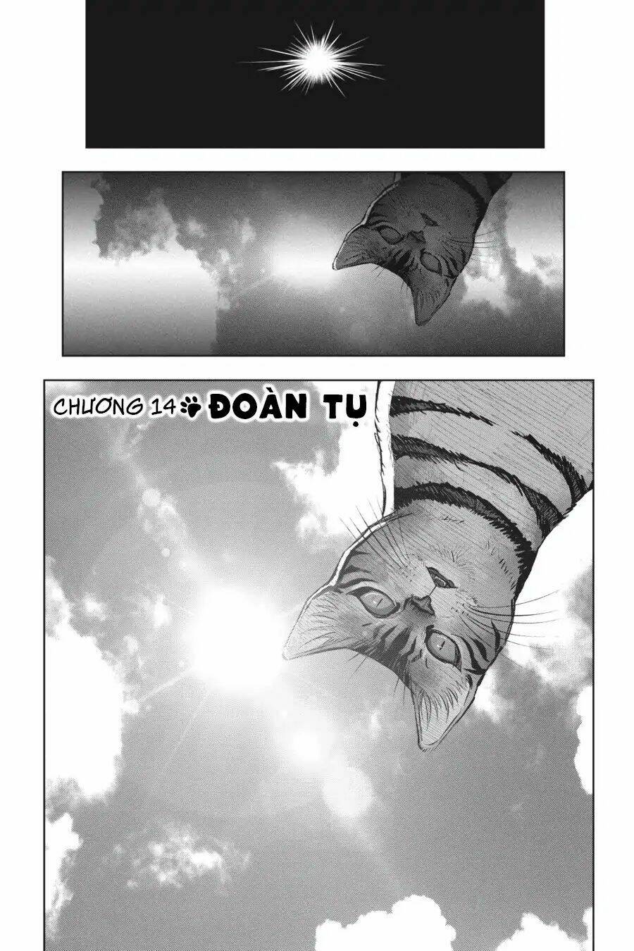 nyankees chapter 14 2