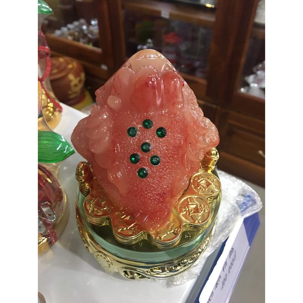 Cóc đỏ xoay