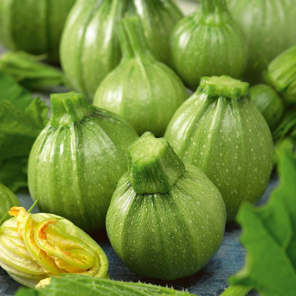 Hạt Giống Bí Ngòi Tròn Xanh Chịu Nhiệt - 1 gói 2gram