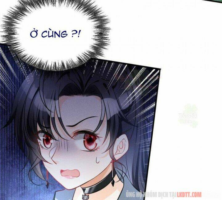 tôi trở thành tổ tông của 5 vị đại lão chapter 6 79