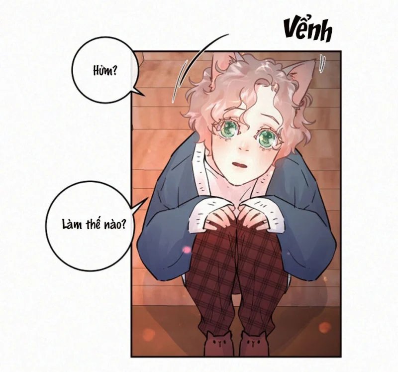 làm cách nào để theo đuổi một alpha? chapter 84.13 7