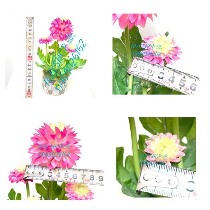LỌ HOA CÚC NHÂN TẠO ĐỂ BÀN 20CM
