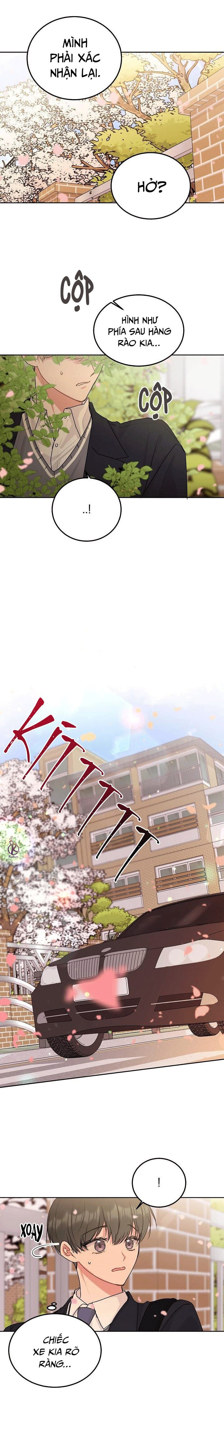 tiền bối, đừng khóc mà! chapter 36.5 1