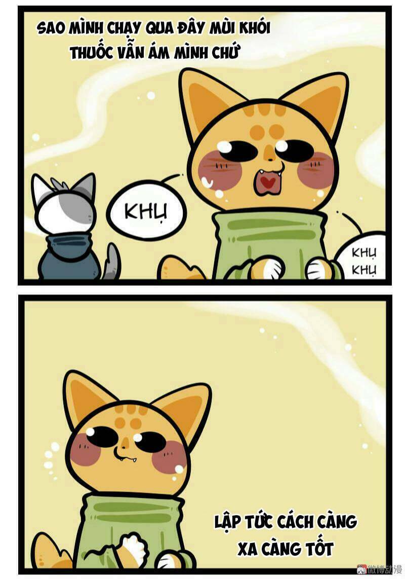 đời không như mình tưởng chapter 59 4