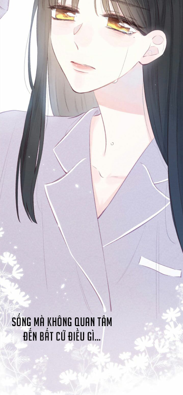 nỗi buồn của hoa cẩm tú cầu chapter 45 9