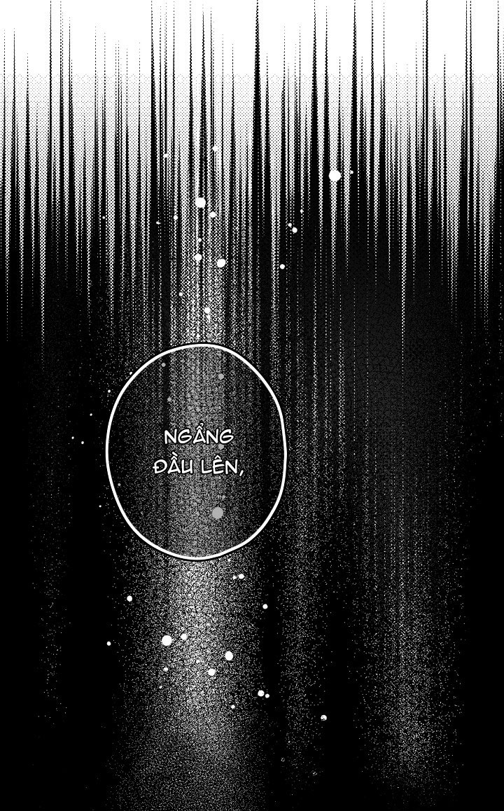 tiểu thư bí ẩn chapter 15 55