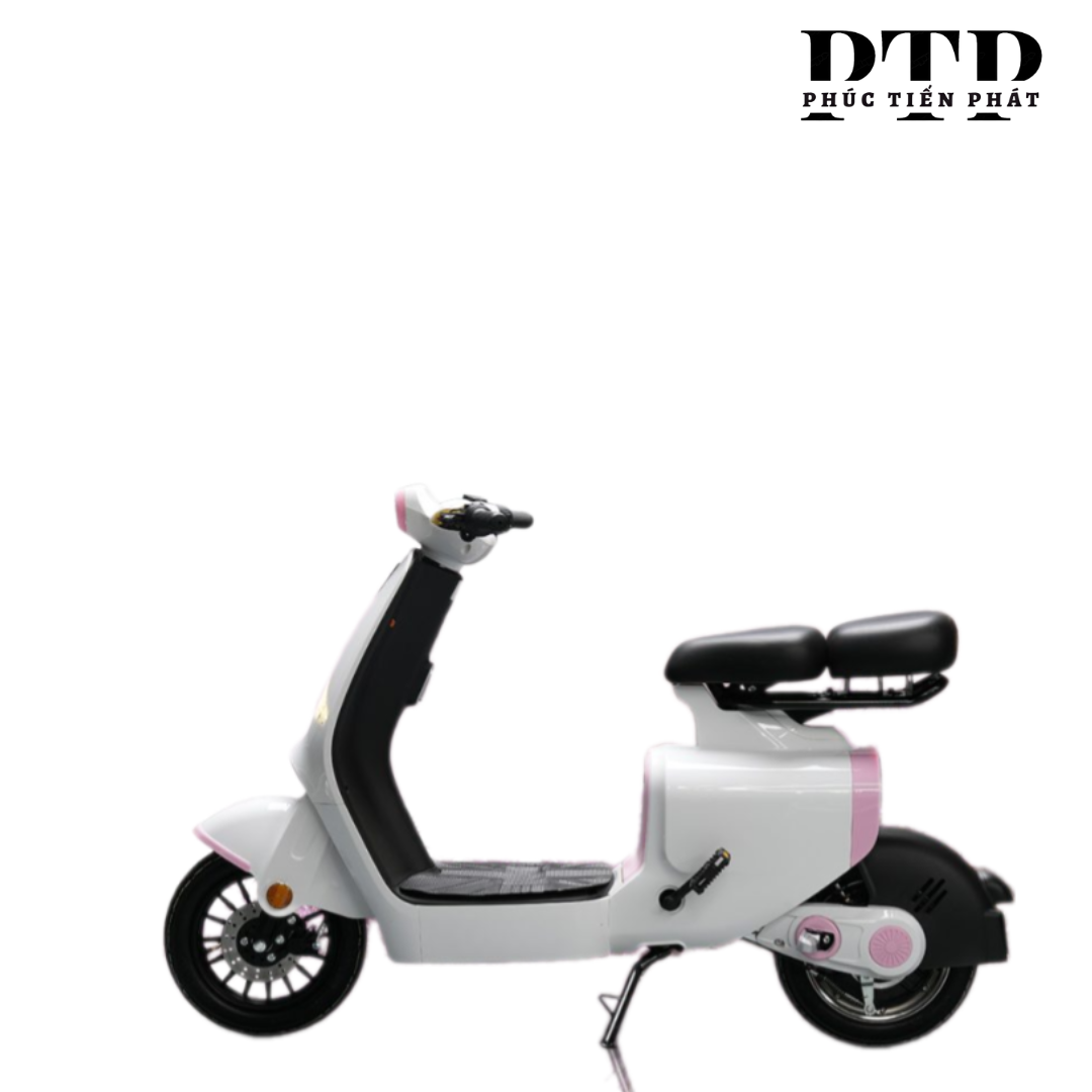 XE ĐẠP ĐIỆN DK S1