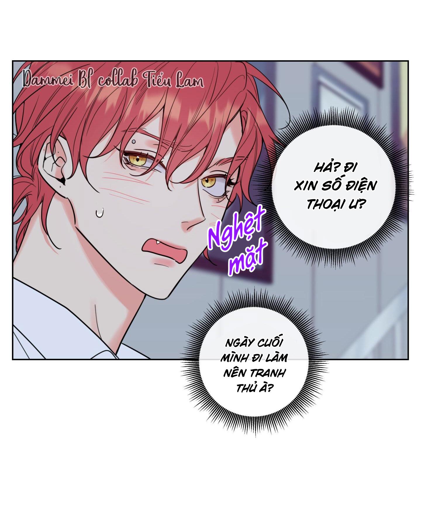 honey trouble - rắc rối ngọt ngào chapter 1 16