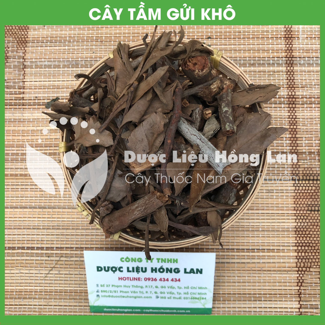 Cây Tầm Gửi Khô sạch đóng gói 500gram