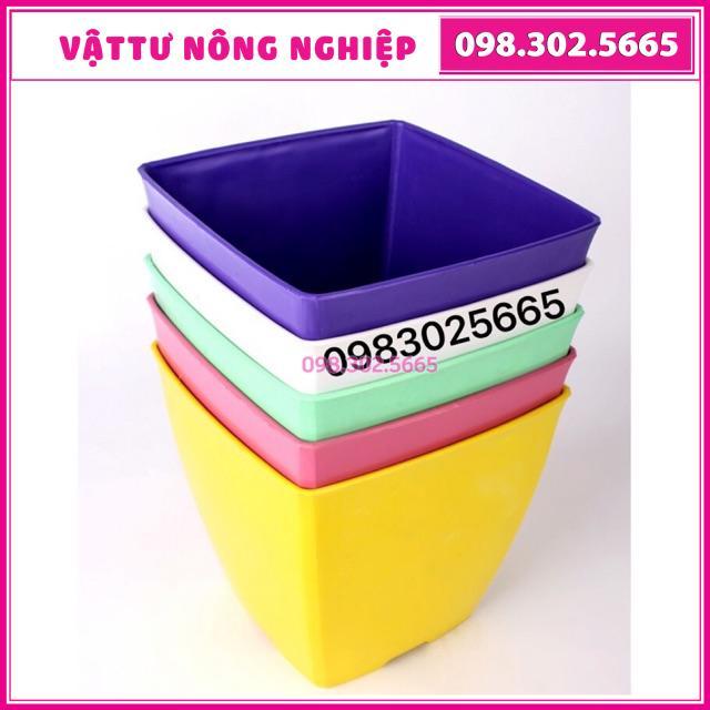 Combo 10 chậu nhựa vuông đủ màu kích thước 20x20cm